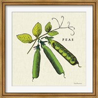 Framed Linen Vegetable IV v2