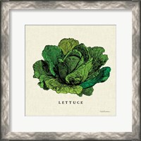 Framed 'Linen Vegetable II v2' border=