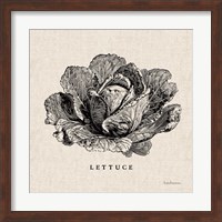 Framed Burlap Vegetable BW Sketch Lettuce