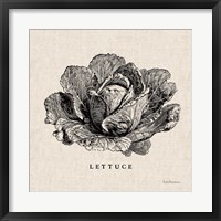 Framed Burlap Vegetable BW Sketch Lettuce