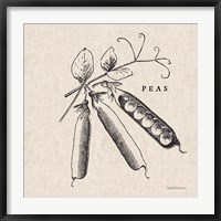 Framed Burlap Vegetable BW Sketch Peas