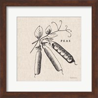 Framed Burlap Vegetable BW Sketch Peas