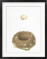 Framed Spring Nest III