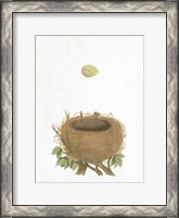 Framed Spring Nest II