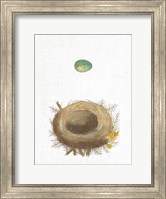 Framed Spring Nest I