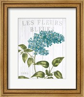 Framed Fleuriste Paris V