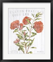 Framed Fleuriste Paris III