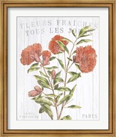 Framed Fleuriste Paris III