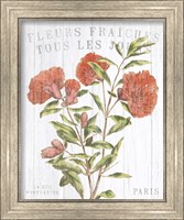 Framed 'Fleuriste Paris III' border=