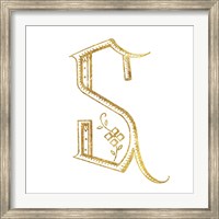 Framed French Sewing Letter S