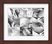 Framed Dreamy Peony Collage