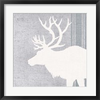 Framed Woodland Animal II