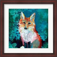 Framed Shy Fox