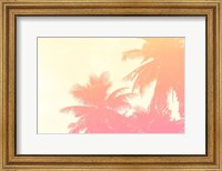 Framed Coconut Palm Trees