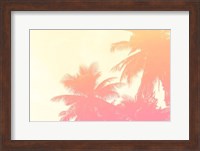 Framed Coconut Palm Trees