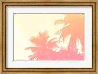 Framed Coconut Palm Trees