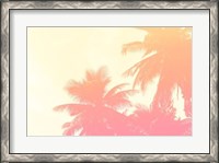Framed Coconut Palm Trees