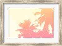 Framed Coconut Palm Trees