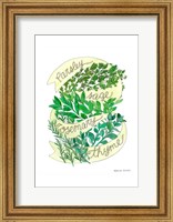 Framed Parsley Sage Rosemary Thyme
