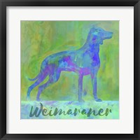 Framed Weimaraner Dog
