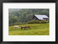 Framed Horse Farm