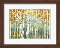 Framed Abstract Birch Trees Warm