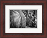 Framed Rhino II - Black & White
