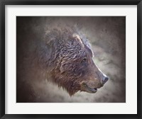 Framed Grizzly Bear Boar