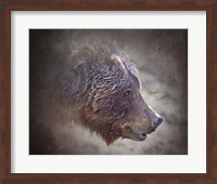 Framed Grizzly Bear Boar