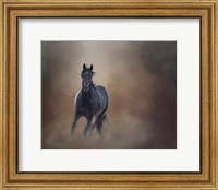 Framed Knighthawk - S Steens Wild Stallion