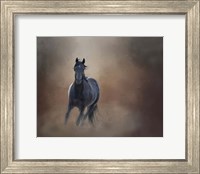 Framed Knighthawk - S Steens Wild Stallion