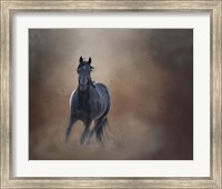 Framed Knighthawk - S Steens Wild Stallion