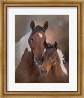 Framed S'more & Chippewa - S Steens Mustangs