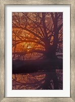 Framed Foggy Sunrise
