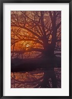 Framed Foggy Sunrise