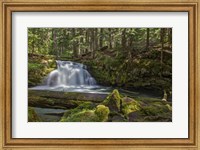 Framed Whitehorse Falls