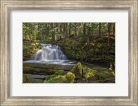 Framed Whitehorse Falls