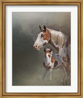Framed Chinook & Her Foal