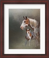 Framed Chinook & Her Foal