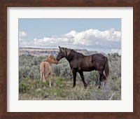 Framed Copper Pennys Foal & Juniper