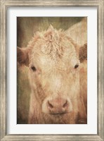 Framed Henrietta