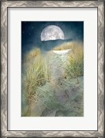 Framed Moonlight Path