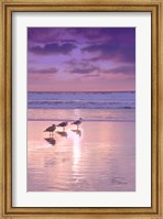 Framed Seagull Beach II