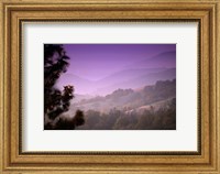Framed Misty Valley
