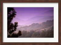 Framed Misty Valley