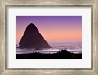 Framed Whaleshead Beach II