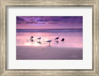 Framed Seagull Beach I