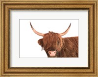 Framed Highland Calf I