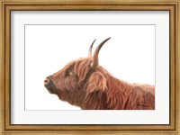 Framed Highland Calf II