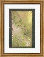 Framed Bamboo Behind Frosted Glass